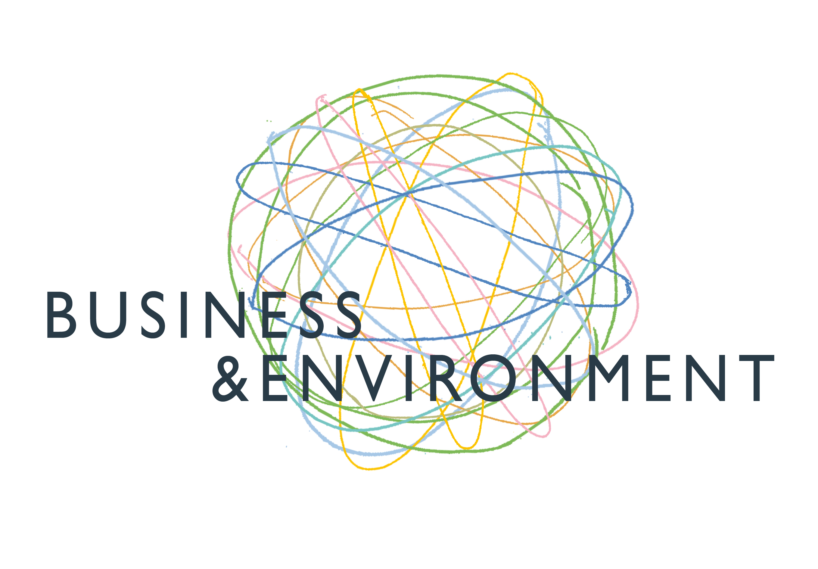 Heger Business and Environment